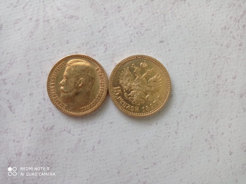 Полиция вернула жительнице Забайкалья найденные в огороде монеты времён царской России