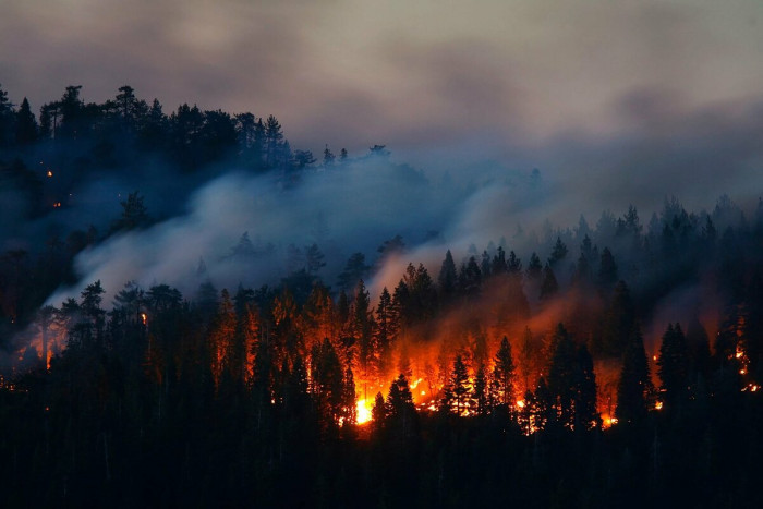 Риски возникновения пожаров в Забайкалье превысят средние многолетние значения – Рослесхоз