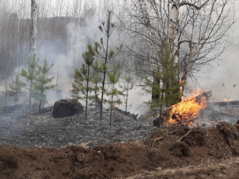 Два лесных пожара потушили в Петровск-Забайкальском районе за сутки