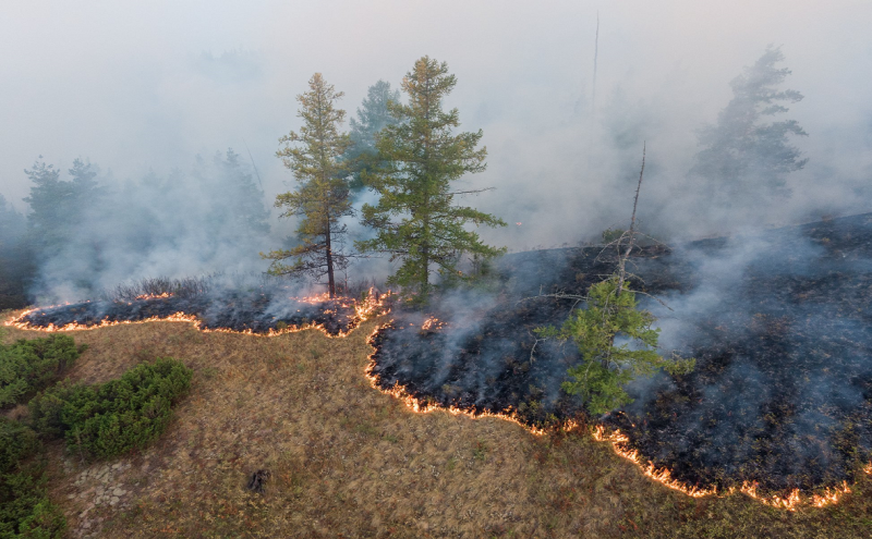 Раннее начало пожароопасного сезона спрогнозировали в Забайкалье