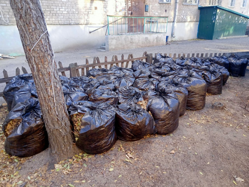 Двор в центре Читы обложили 33 мусорными пакетами с листьями