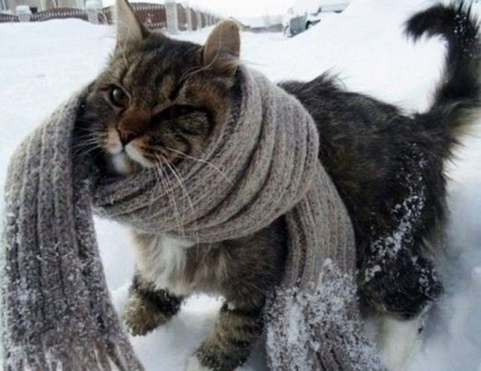 Морозы до 44 градусов пообещали синоптики в Забайкалье 28 декабря