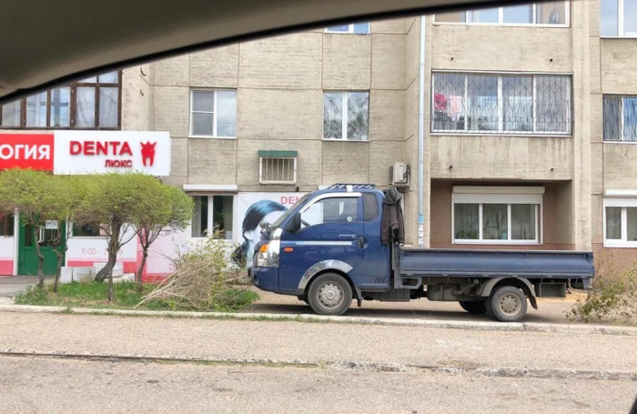 Рабочие обрезали уже зелёные кусты сирени на улице Журавлёва в Чите