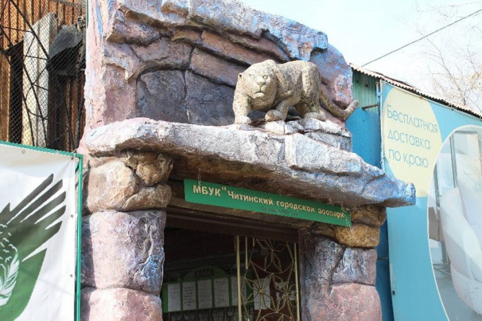 Общественное обсуждение переноса зоопарка из центра Читы в Северный пройдёт 15 ноября