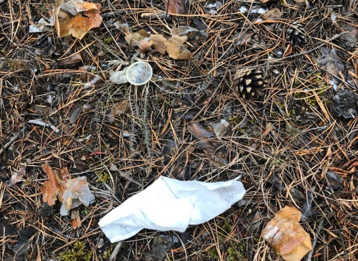 Читинки пожаловались на усеянный презервативами парк СибВО