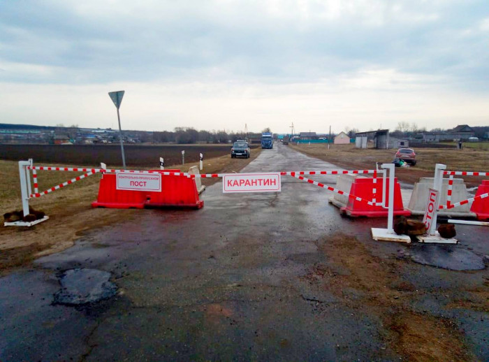 Посёлок Новоорловск в Забайкалье закроют из-за коронавируса