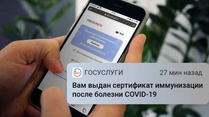 Минздрав России предложил увеличить срок сертификата переболевшего COVID-19 до года