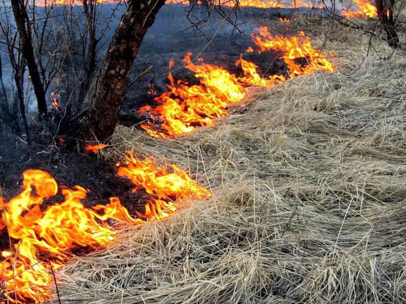 В Чите 13 раз горела сухая трава за прошедшие сутки