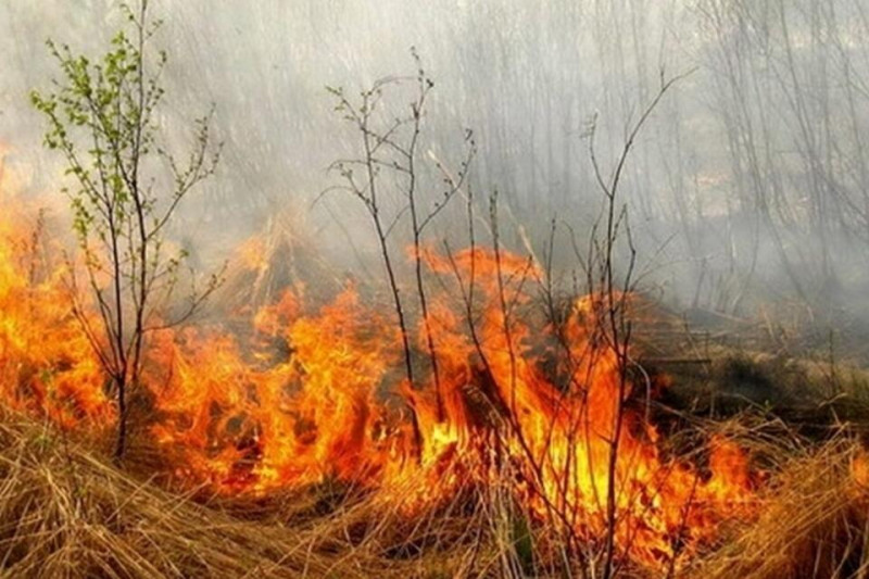Степной пожар, раздуваемый сильным ветром, угрожает селу Нуринск в Забайкалье