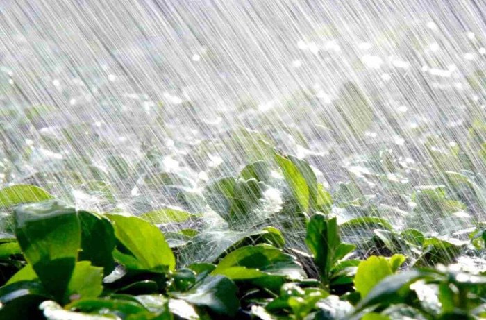 Сильные ливни сохранятся в Забайкалье до 23 июля – возможен подъём рек