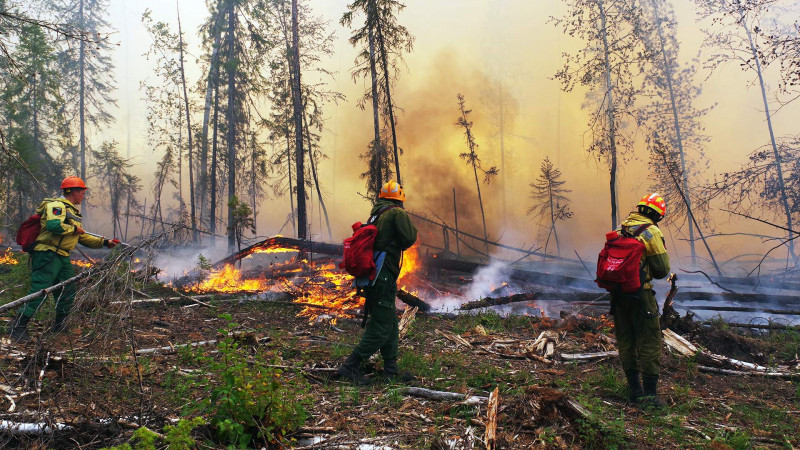 Вакансии лесных пожарных с зарплатой от 35 тысяч рублей открылись в «Забайкаллесхозе»