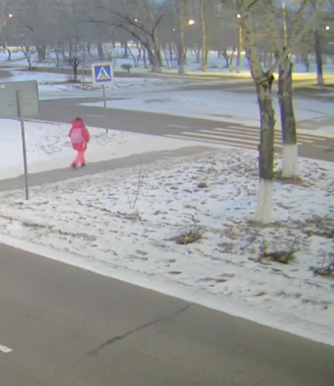 Школьница в Краснокаменске на зебре врезалась в ехавшую машину