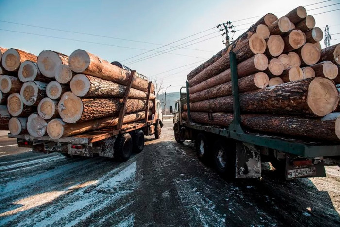 Государственная компания по экспорту леса может появиться в России в 2021 году