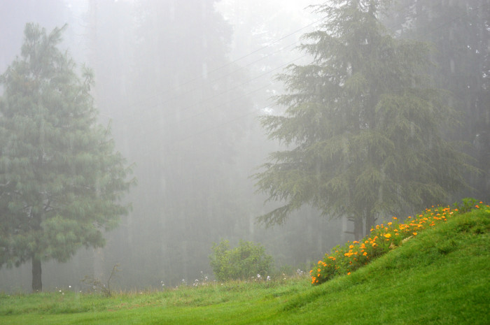 Дожди и туман ожидаются 16 сентября в Забайкалье