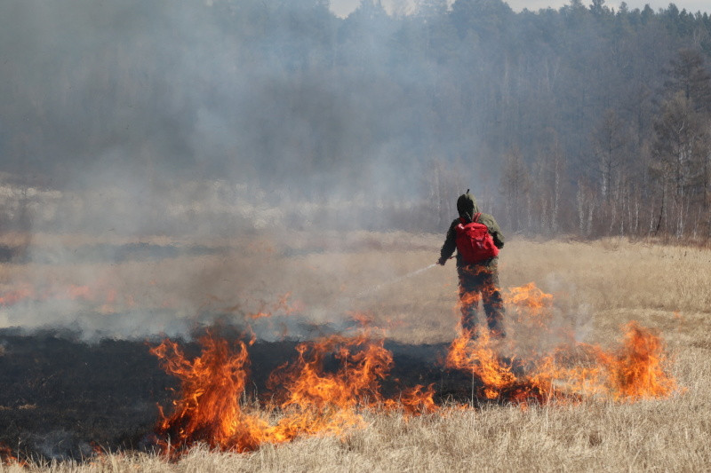 Чабанская стоянка в Забайкалье чуть не сгорела из-за ландшафтного пожара