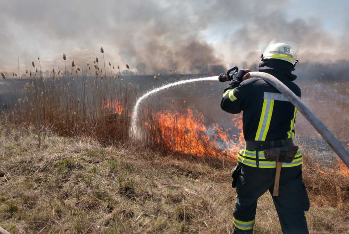 19 ландшафтных пожаров произошло в Забайкалье с начала 2021 года