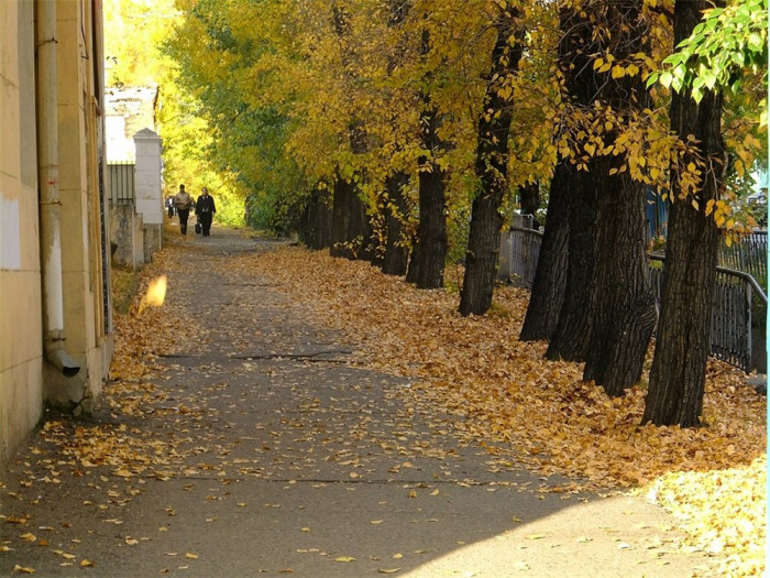 Тёплая погода без осадков сохранится в Забайкалье 29 октября