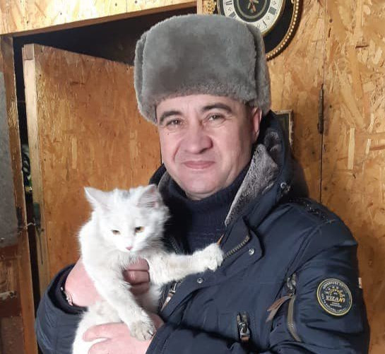 Глава Ингодинского района Читы спас застрявшую в подъезде кошку