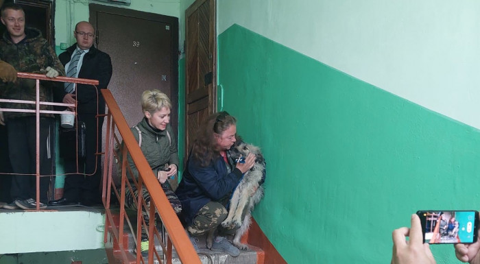Власти Ингодинского района и волонтёры спасли вторую собаку из квартиры в Осетровке