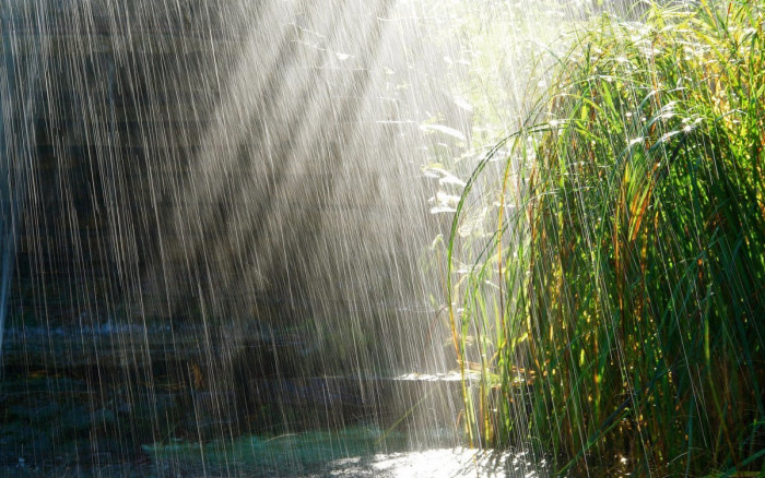 Дожди, ливни и грозы ожидаются в Забайкалье 1 июля