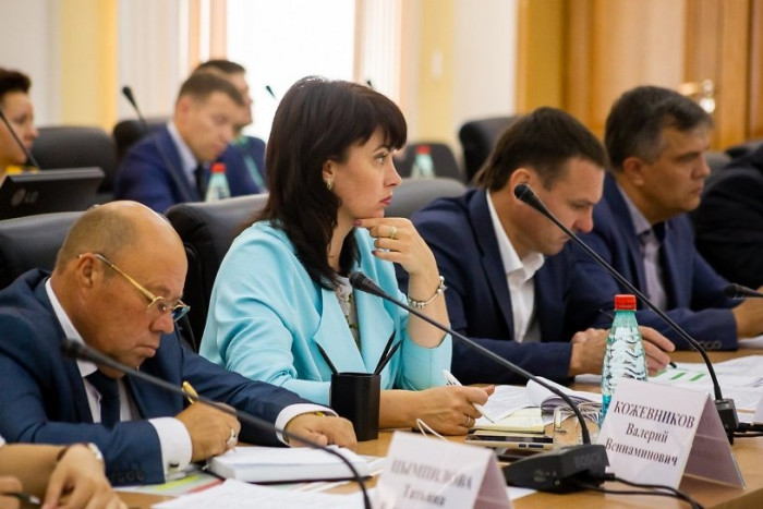 Экс-министр соцзащиты Забайкалья заработала 3,4 млн рублей за 2019 год