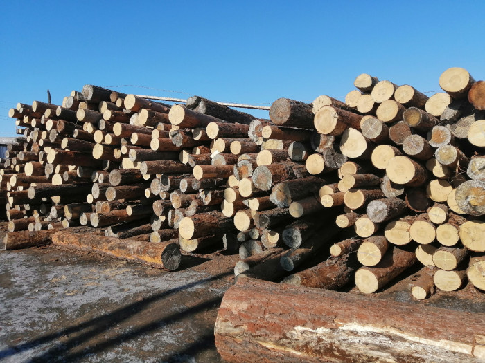 Девять незаконных пунктов по приёму древесины закрыто в одном из районов Забайкалья