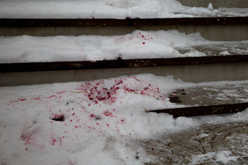 Кровь на снегу 