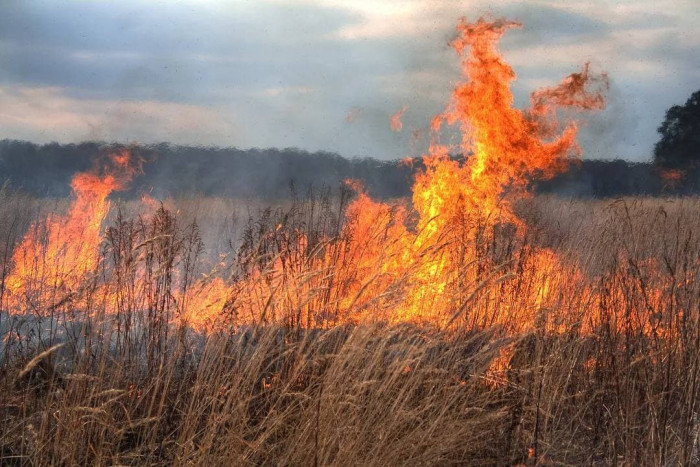Мусор и сухая трава 17 раз горели в Чите 10 апреля