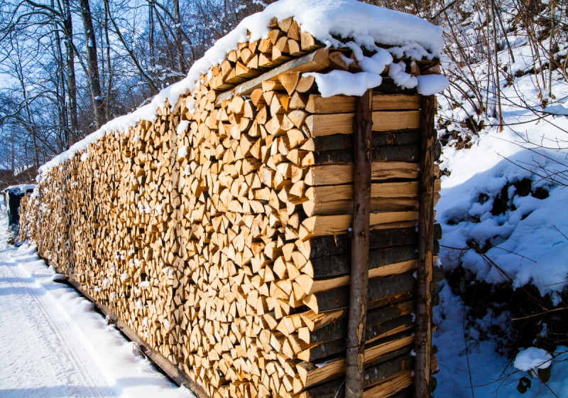 Горячую линию по заготовке дров на зиму запустили в Забайкалье