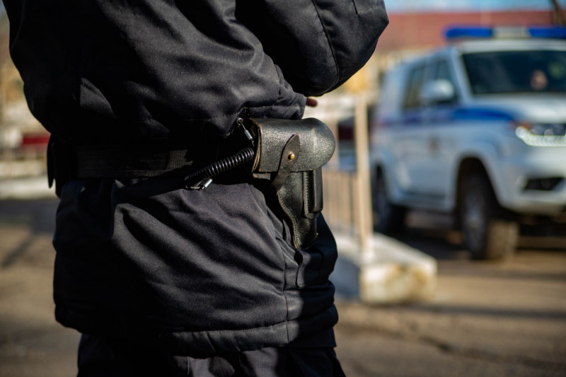 Полиция нашла подозреваемых в краже в Чите 