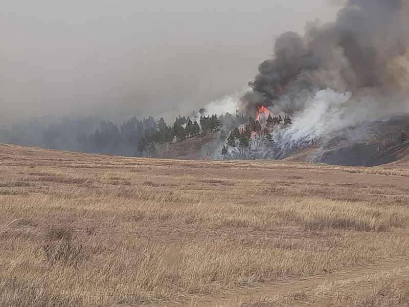 Лесной пожар охватил значительную территорию между Хилком и Гыршелуном