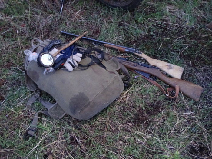 Убивающих косуль браконьеров задержали в Красночикойском районе