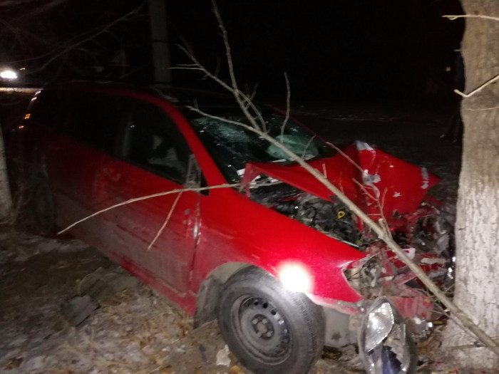 Пьяный водитель без прав врезался в дерево в Борзинском районе