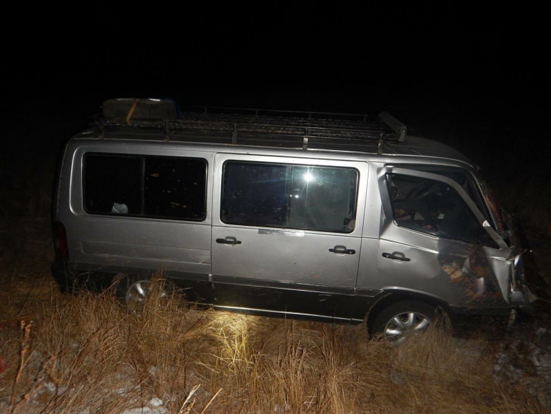 Микроавтобус сбил лошадь на трассе в Акшинском районе