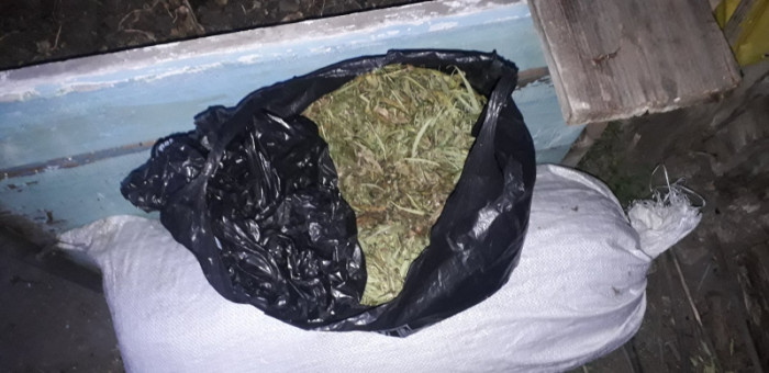 6 кг марихуаны и 38 кустов конопли изъяли у жителя Могойтуя