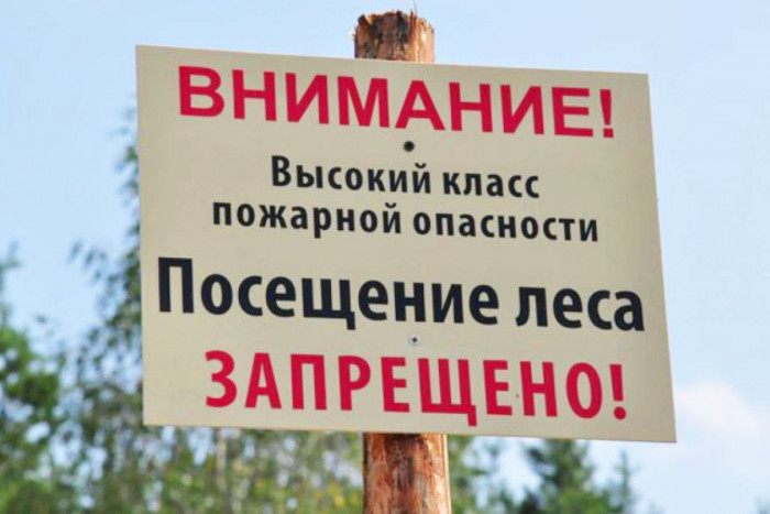 Жителям Забайкалья запретили ходить в лес до 10 мая