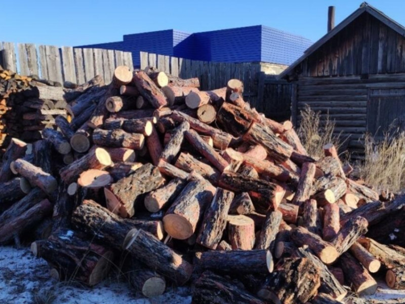 «Забайкаллесхоз» приостановил поставку дров для граждан из-за коррупции