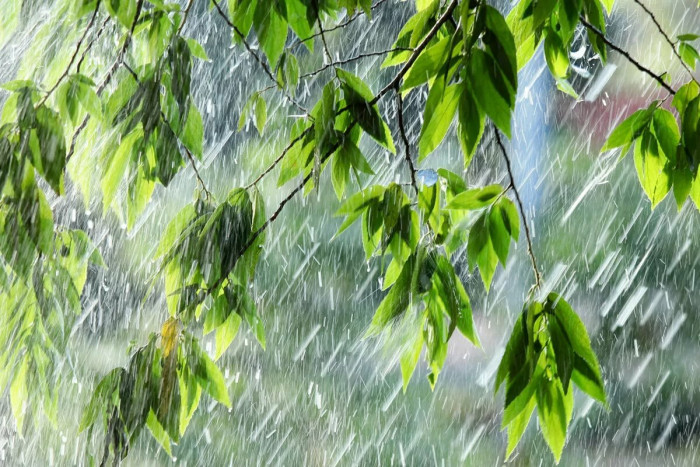 Тёплая погода и умеренные дожди ожидаются в Забайкалье 21 июля