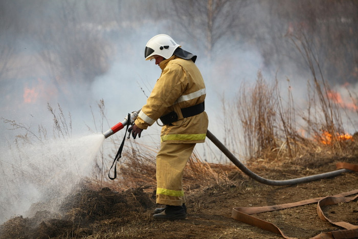 Более 80 человек тушат лесной пожар в Карымском районе Забайкалья