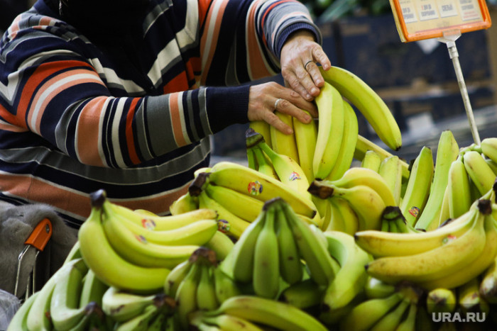 Путин объяснил, почему ряд отечественных овощей стоят дороже бананов