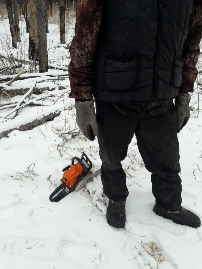 Житель Петровск-Забайкальского района незаконно рубил деревья под видом сбора валежника