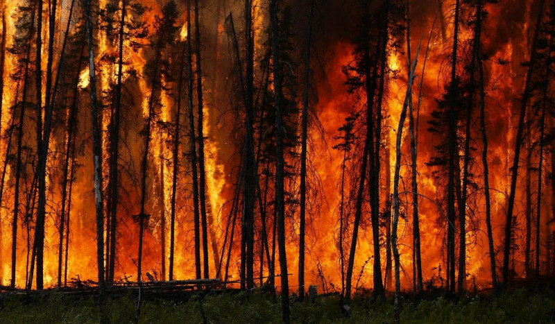 Единственный лесной пожар в России по данным на утро 27 марта был в Забайкалье