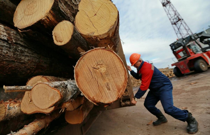 «Опасный» пункт приёма древесины закроют в Петровск-Забайкальском районе