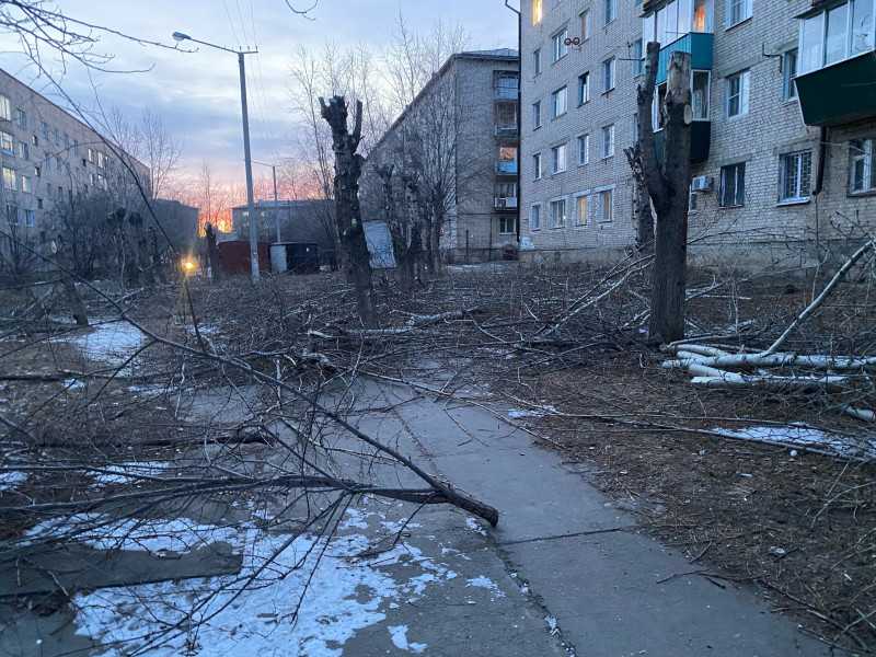 Жителям ГРЭСа в Чите завалили двор ветками после обрезки тополей