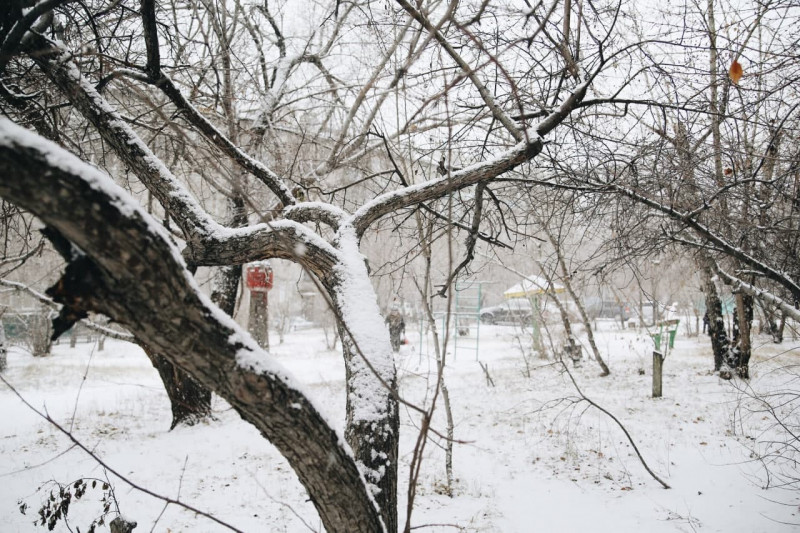 Пять градусов тепла и небольшой снег ожидается в Забайкалье 25 февраля