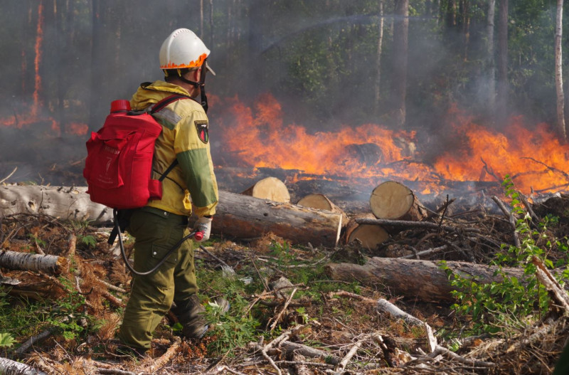 20 человек потушили лесные пожары размером с два футбольных поля в Забайкалье