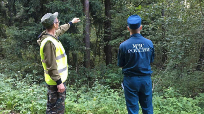 На сопках Читинского района создадут наблюдательные пункты для контроля леса