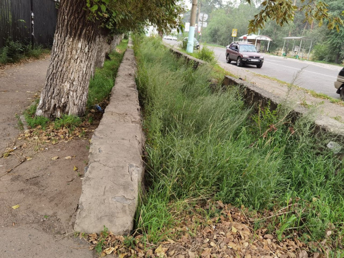 Жители Читы пожаловались на заросшие травой и мусором канавы в центре города