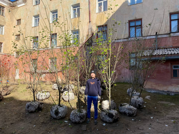Тепляков: Деревья на Чкалова – П. Осипенко в Чите снесли, чтобы высадить новые