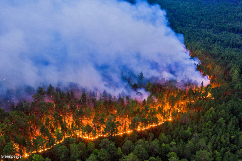 Прокуратура выявила случаи неэффективного тушения лесных пожаров в Забайкалье